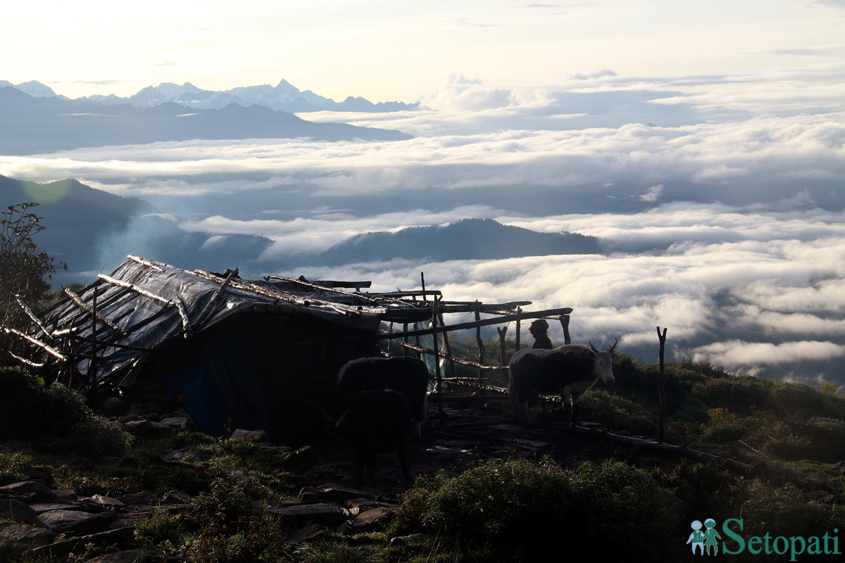 https://www.setopati.com/uploads/shares/2019/01/sujita/5 pokhari (1).jpg